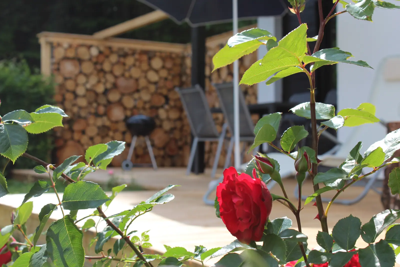 waldidyll garten rosen holzstammwand 202602 bayerischerwald brotjacklriegel