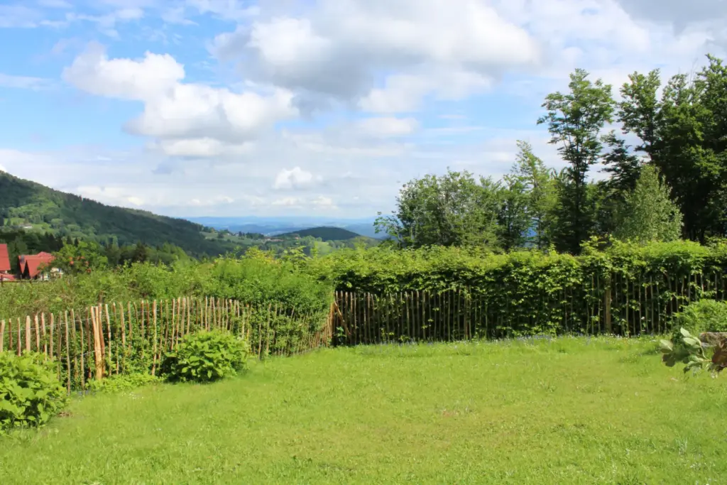 waldidyll bayern garten eingezaunt hunde 202602 bayerischerwald brotjacklriegel