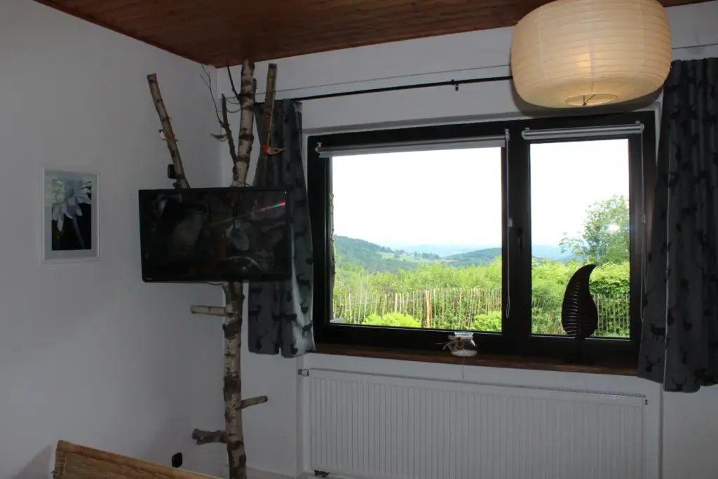 waldidyll tv halterung birkenstamm naturdesign 202602